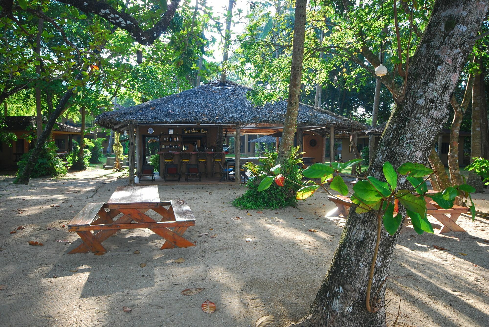 Melina Beach Front Bungalows Tha Lane Bay Exteriör bild